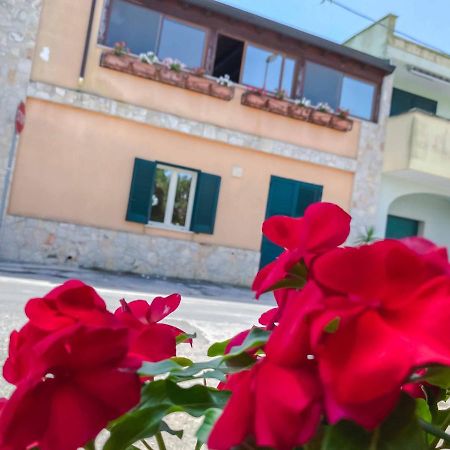 Aparthotel Cortellenica Торре-Сан-Джованні-Удженто Екстер'єр фото